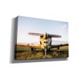 Last Flight I Hold  by Donnie Quillen, Canvas Wall Art Online now