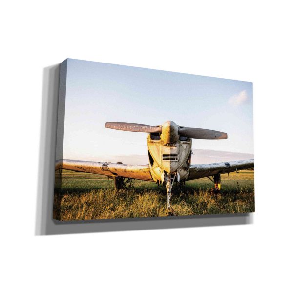 Last Flight I Hold  by Donnie Quillen, Canvas Wall Art Online now