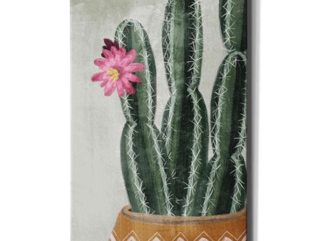 Flowering Cactus  by House Fenway, Canvas Wall Art For Discount