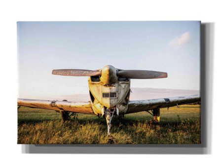 Last Flight I Hold  by Donnie Quillen, Canvas Wall Art Online now