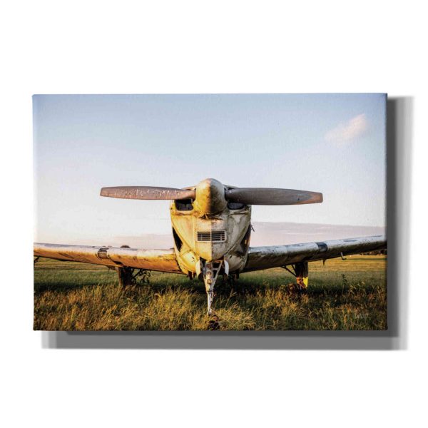 Last Flight I Hold  by Donnie Quillen, Canvas Wall Art Online now