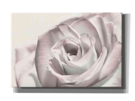 Blush Rose I  by Lori Deiter, Canvas Wall Art Cheap