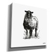 Farmhouse Sheep  by House Fenway, Canvas Wall Art Online Hot Sale