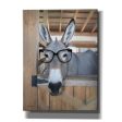 Smart Ass  by Lori Deiter, Canvas Wall Art Online Sale