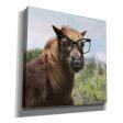 Let Your Horse Do the Thinking  by Lori Deiter, Canvas Wall Art Sale