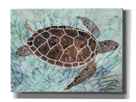 Sea Turtle Collage 1  by Stellar Design Studio, Canvas Wall Art Discount