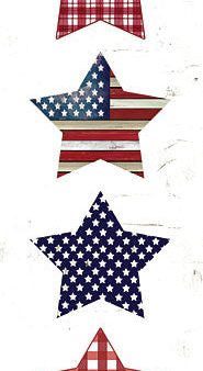 CIN3223 - Patriotic Stars - 6x18 Supply