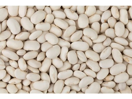 CLIC - NORTHERN BEANS 5KG For Sale