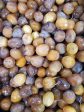 Barhi - Dates - Fresh Online