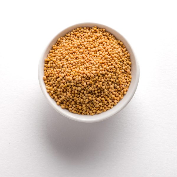 Whole Yellow Mustard Seed - 16 oz Piece - CW Canada - Canadian Distribution Supply