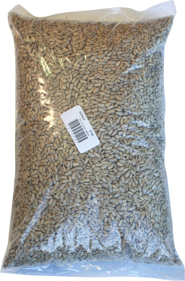 SunFlower Seeds Online