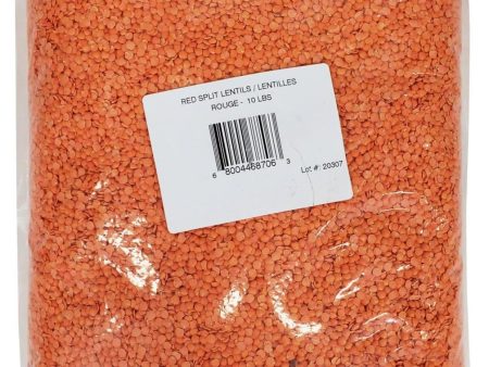 Masoor Daal Wash - Red Lentil Split Supply