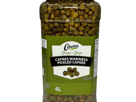 CIBONA - CAPERS LARGE 2x4LT Online Hot Sale