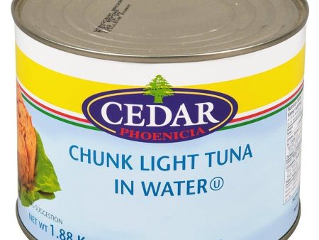 VSO - Cedar - Tuna - Chunk Light in Water - skipjack Cheap