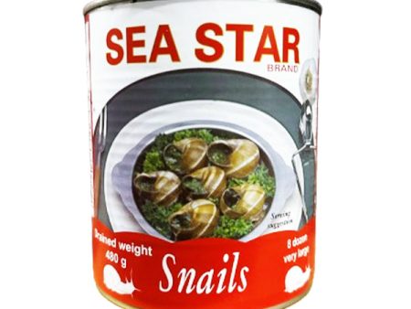 SEA STAR - SNAILS 12x480 GR Online now